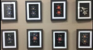 Four framed pictures of flowers hanging on a wall.